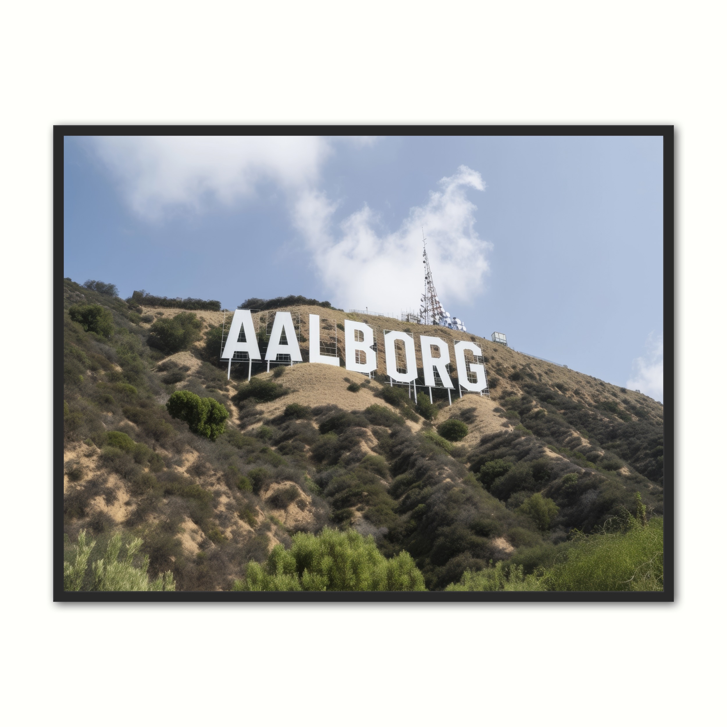 Aalborg Byplakat   21   29      A4