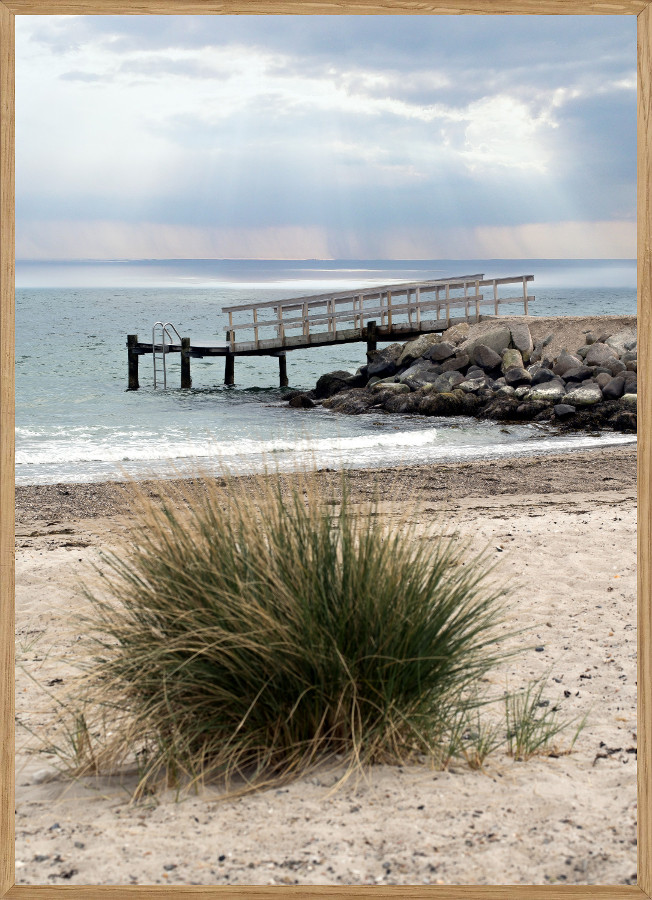 Juelsminde Badebro Naturplakat A5  14     21cm  Boligen   Naturplakater Living Nature
