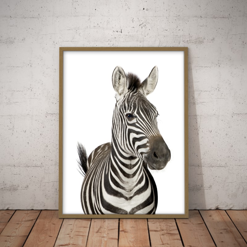 Zebra Plakat Kunsttryk