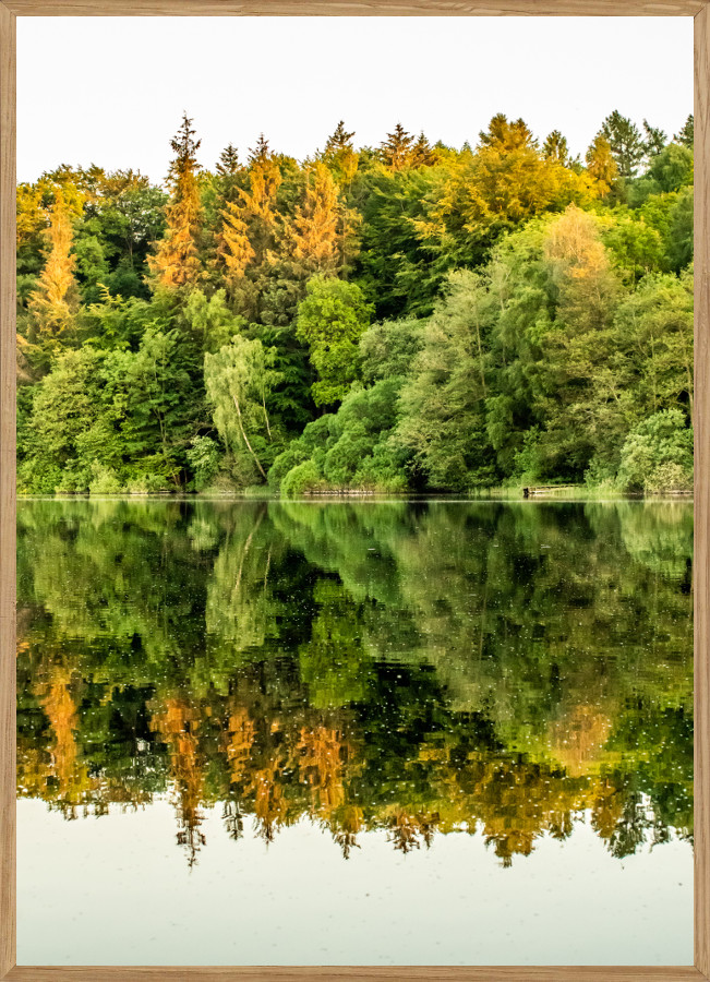 Reflektion Naturplakat A5  14     21cm  Boligen   Naturplakater Living Nature