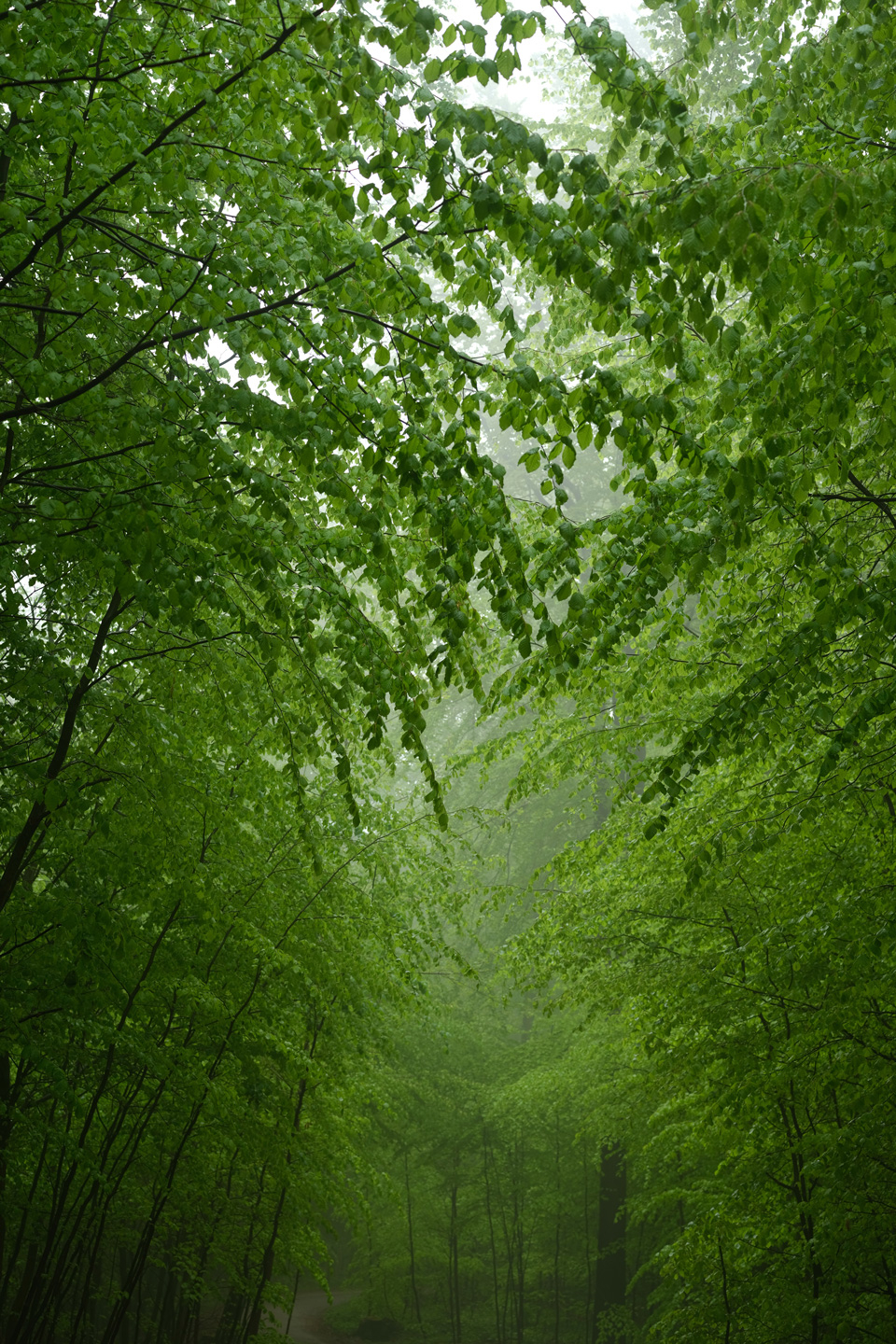 Risskov3   Preben Stentoft