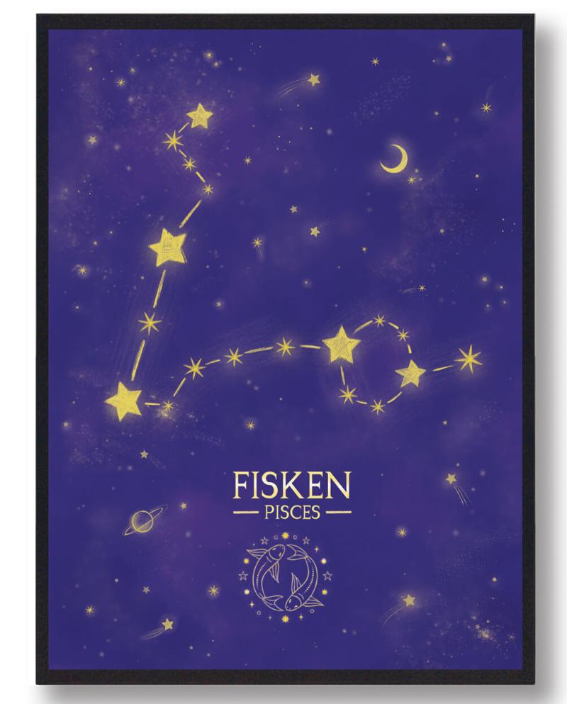Stjernebillede Fisken Lilla  Størrelse:   50x70cm  B2