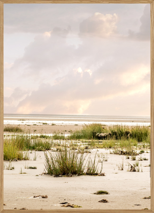 Vadehavet Naturplakat A5  14     21cm  Boligen   Naturplakater Living Nature
