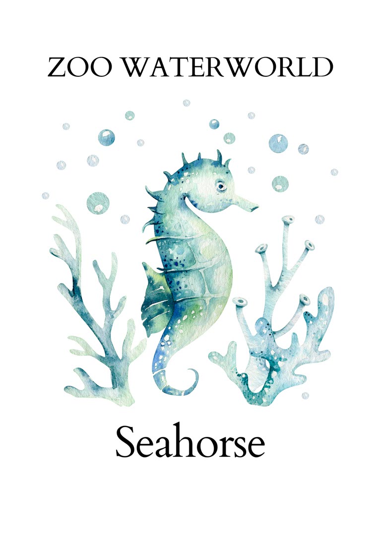 Zoo Waterworld Seahorse Plakat