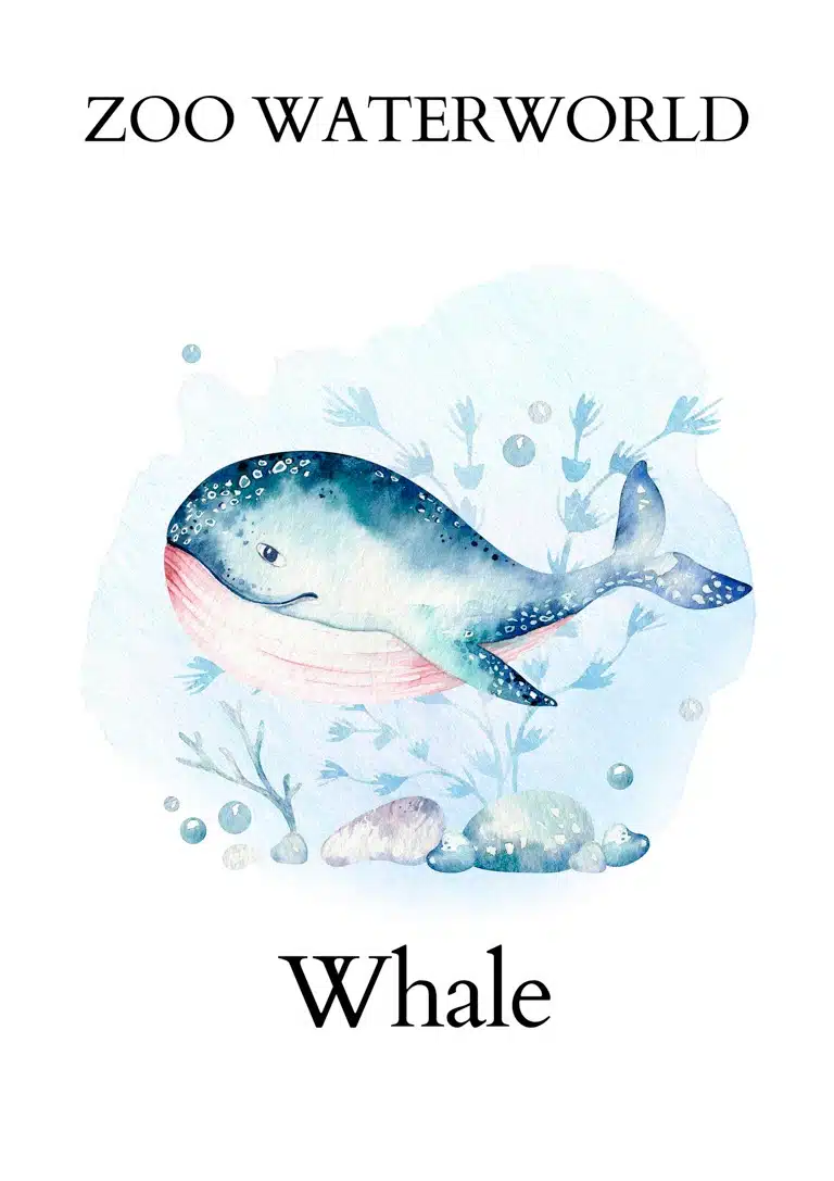 Zoo Waterworld Whale Plakat
